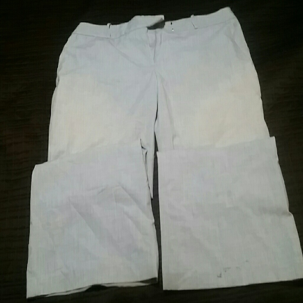 Women's dress pants
